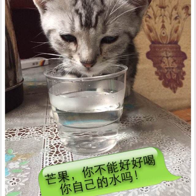 小樽商科大学机械工程文凭证书